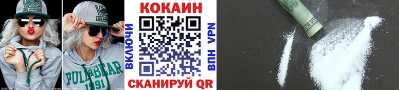 Купить где  Первомайск  COCAIN Fish Scale 