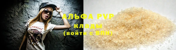 индика Зеленокумск