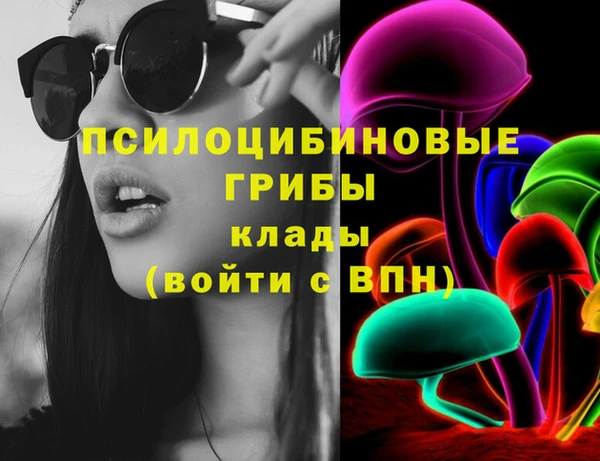индика Зеленокумск