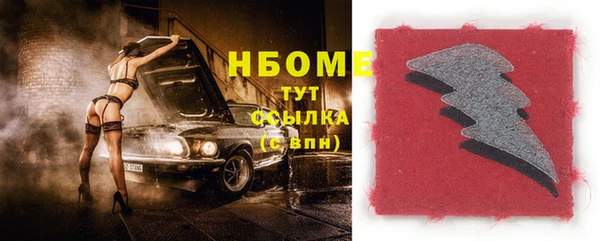 индика Зеленокумск