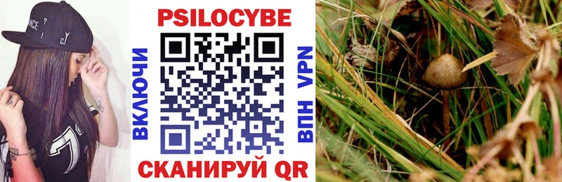 Купить  Первомайск  Псилоцибиновые грибы мухоморы 